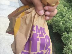 -麦当劳(塔园路店)