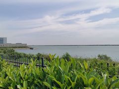 -江滩湿地公园