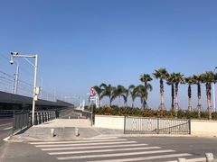 -海堤纪念公园