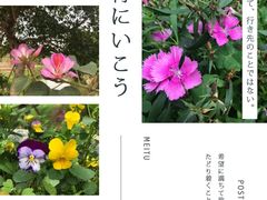 -丹樱生态园