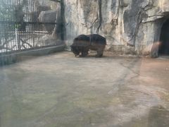 -南昌动物园