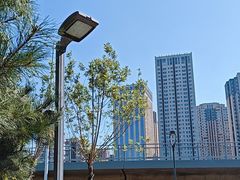 -长白岛森林公园