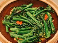 姜汁炒芥兰-沙龙酒家