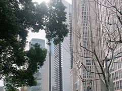 -陆家嘴中心绿地