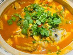 太平湖有机胖头鱼-魏铭鱼头捞饭(晋阳路店)