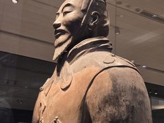 -秦始皇帝陵博物院-丽山园