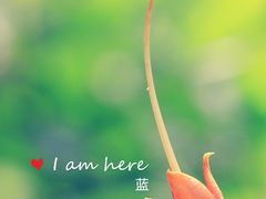 -百里山水画廊