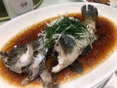 清蒸石斑鱼-金时代顺风大酒店(协泰店)