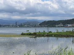 -洱海月湿地公园