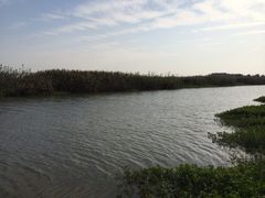 iphone_upload_pic-泗洪洪泽湖湿地景区