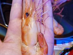 -钳真多钓虾馆·小龙虾海鲜烧烤(九六广场店)
