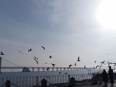 -星海广场