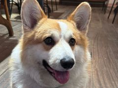 -肥朵食堂(带梦胡同店)