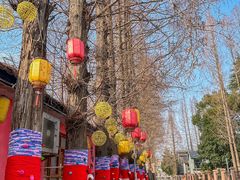 -云间粮仓