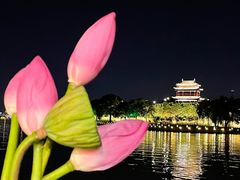 -聚汇三少·龙虾·中餐厅(莫邪路新天地店)