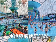 -水立方嬉水乐园