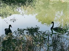 -长白岛森林公园