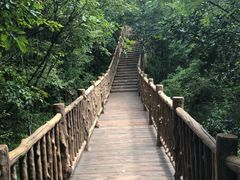-塔云山