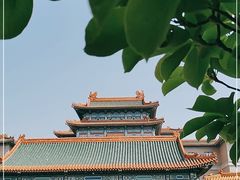 -中国紫檀博物馆