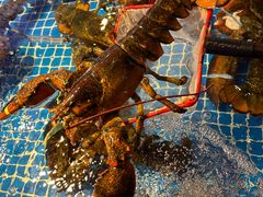 -驻海渔市(置信店)