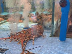 -阿伟海鲜楼·福建菜(延寿店)