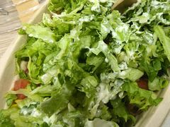 -油梨树AVOCADO TREE(望京店)