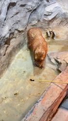 -Zoolung Zoolung动物主题公园(海信广场店)