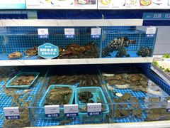 -大锅强·蒸海鲜青岛菜(吾悦广场店)