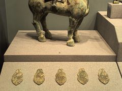 -广西壮族自治区博物馆