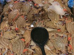 -川骄海鲜自助(亚运村店)