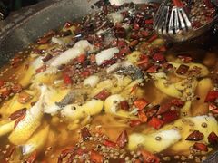 -雲蜀龙阁·金牌水煮鱼(方庄店)