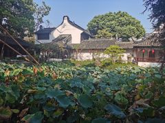 -上海醉白池公园