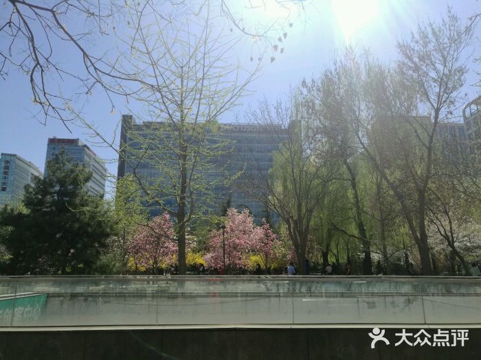 虎头军煎饼(天使大厦店)图片