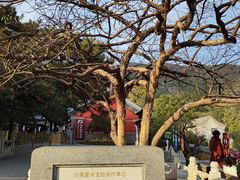 -潭柘寺景区