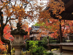 -常寂光寺