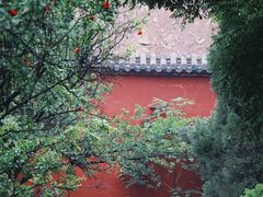 -洛阳白马寺