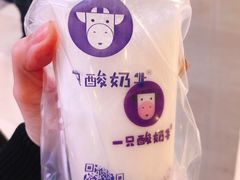 -一只酸奶牛(八一路店)