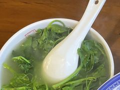 豆苗汤-春阳水饺(香槟广场店)