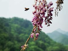 -何适山庄 ·可团建(水长城P2停车场店)