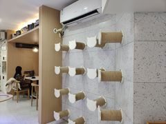 -喵园·猫主题咖啡厅·撸猫·猫咖(国贸店)