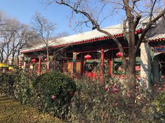 -白家大院·王府宫廷菜(苏州街店)
