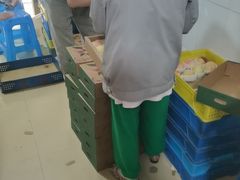 -老袁家蜜桃农场·阳山水蜜桃