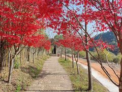 -婺源梦里老家大型山水实景演出