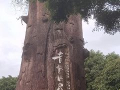 -青青世界