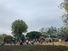 -海珠儿童公园