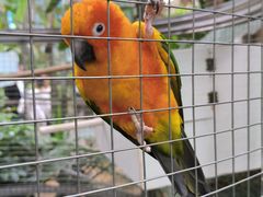 -大连森林动物园