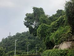 -火炉山森林公园