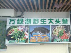 -岭下农庄·农家菜·野生大头鱼·公司团建(福永凤凰山店)
