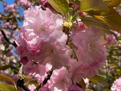 -苏州河梦清园环保主题公园