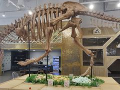 -FAIRYLAND龙族星球主题餐厅(凯丹广场店)